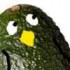 AvocadoPenguin's avatar