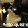 business_cat's avatar