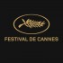 Cannes Film Festival - Best Screenplay's icon