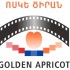 Yerevan International Film Festival - Golden Apricot's icon