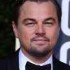 Leonardo DiCaprio Filmography's icon
