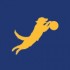 ABCU - The Air Bud Cinematic Universe's icon